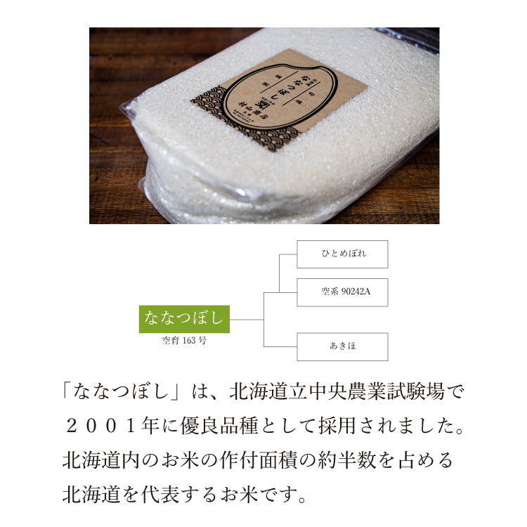 【新米】北海道産 ななつぼし